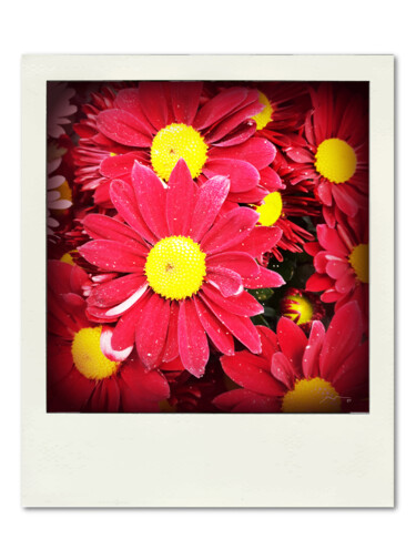 数字艺术 标题为“Polaroid Serie N7” 由Marco Victorino, 原创艺术品, 数字油画