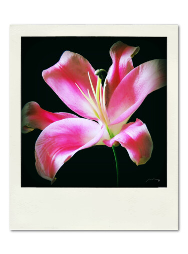 Polaroid Serie N9 Arts numériques intitulée "Polaroid Serie N9" par Marco Victorino, Œuvre d'art originale, Peinture numérique