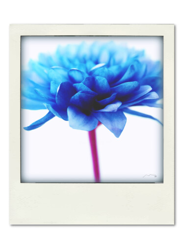 数字艺术 标题为“Polaroid Serie N11” 由Marco Victorino, 原创艺术品, 数字油画