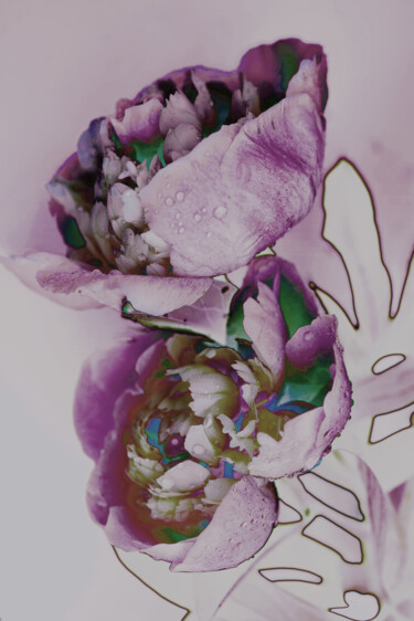 Fotografie getiteld "Flowerissimo_17476" door Michael Vdovin, Origineel Kunstwerk, Digitale fotografie