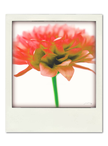 数字艺术 标题为“Polaroid Serie N12” 由Marco Victorino, 原创艺术品, 数字油画