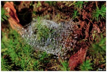 Photographie intitulée "# 11008" par Bruno Dujardin, Œuvre d'art originale, Photographie numérique