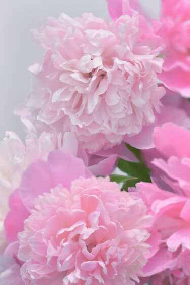 "Flowerissimo_19654" başlıklı Fotoğraf Michael Vdovin tarafından, Orijinal sanat, Dijital Fotoğrafçılık