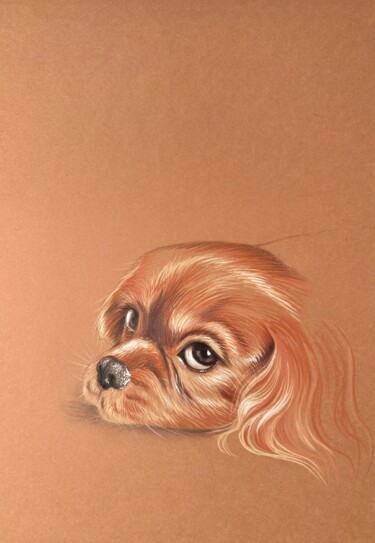 Dibujo titulada "Gaby" por Cécile Mordillo, Obra de arte original, Lápiz