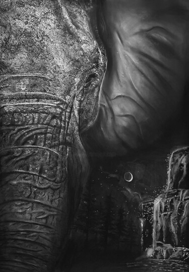 图画 标题为“Elephant in Nature” 由Steeven Shaw, 原创艺术品, 木炭