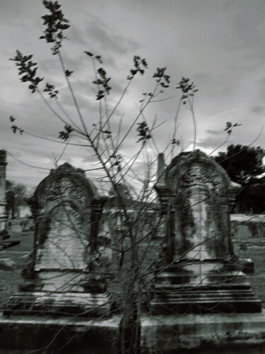 We Could Have Spent Eternity Together Photographie intitulée "We Could Have Spent…" par Veronica Mclaren (Starina's Art), Œuvre d'art originale, Photographie mani…