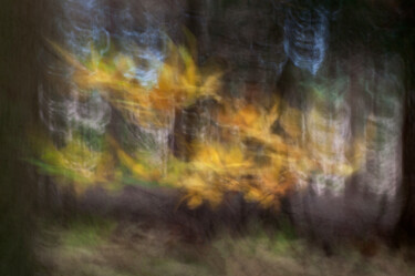 Photography titled "Couleurs d'automne…" by Thierry Martin, Original Artwork, Digital Photography