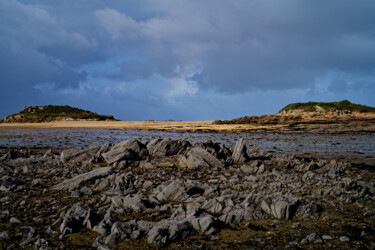 Carantec, Rhu land, l'ile Callot au mois de janvier. Fotografia intitolato "Carantec, Rhu land,…" da Thierry Martin, Opera d'arte originale, Fotografia digitale