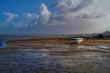 Carantec, l'estran vers la château du Taureau en hiver. 「Carantec, l'estran…」というタイトルの写真撮影 Thierry Martinによって, オリジナルのアートワーク, デジタル