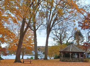 "Essex Town Green" başlıklı Fotoğraf Veronica Mclaren (Starina's Art) tarafından, Orijinal sanat, Fotoşopsuz fotoğraf