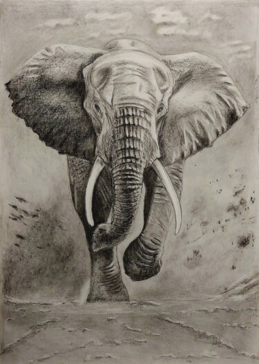 绘画 标题为“Elephant in pencil” 由Sasho Jovanovski, 原创艺术品, 铅笔
