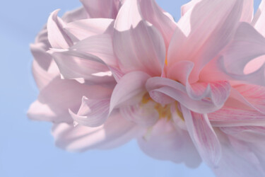"Flowerissimo_17563" başlıklı Fotoğraf Michael Vdovin tarafından, Orijinal sanat, Dijital Fotoğrafçılık