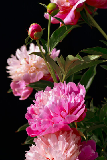 "Flowerissimo_19708" başlıklı Fotoğraf Michael Vdovin tarafından, Orijinal sanat, Dijital Fotoğrafçılık