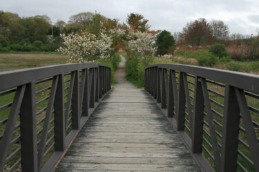 Footbridge in Maine "Footbridge in Maine" başlıklı Fotoğraf Veronica Mclaren (Starina's Art) tarafından, Orijinal sanat, Fotoşopsuz fotoğraf