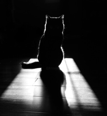 "Sunspot" başlıklı Fotoğraf Veronica Mclaren (Starina's Art) tarafından, Orijinal sanat, Fotoşoplu fotoğrafçılık