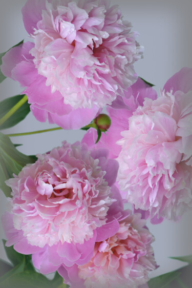 Photography titled "Flowerissimo_10111" by Michael Vdovin, Original Artwork, Digital Photography