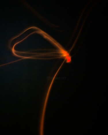 Photography titled "Butterfly on a blad…" by Redrumstudio, Original Artwork, Digital Photography