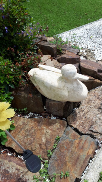Sculpture titled "LE CANARD SUR L  EAU" by Bertrand Delogne, Original Artwork, Stone
