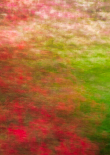 Fotografie getiteld "Les Rhodos" door Céline Pivoine Eyes, Origineel Kunstwerk, Digitale fotografie