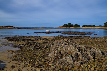 Carantec, Rhu land, Pors a Callot, l'ile Callot février. 「Carantec, Rhu land,…」というタイトルの写真撮影 Thierry Martinによって, オリジナルのアートワーク, デジタル