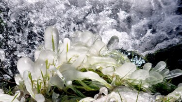 Photographie intitulée "Gangue de glace 1" par Sylvie Chapuis, Œuvre d'art originale, Photographie non manipulée