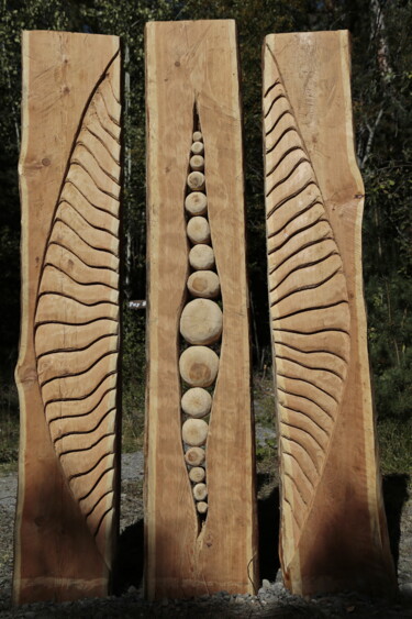 "Germinence" başlıklı Heykel Alain Bernegger tarafından, Orijinal sanat, Ahşap