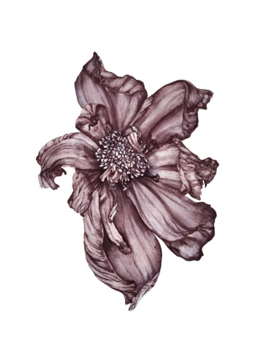 Pintura intitulada "Cosmea" por Yulia Zhevnova, Obras de arte originais, Aquarela