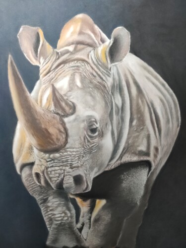 Rhino