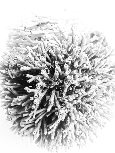 Photography titled "Ephemeral Embrace s…" by Sanzhi Chieh, Original Artwork, Digital Photography
