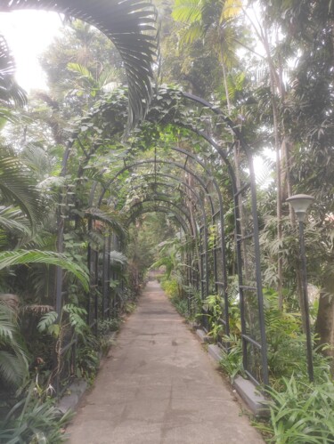Photography titled "A pathway with arch…" by Avik Chakravorty, Original Artwork, Digital Photography
