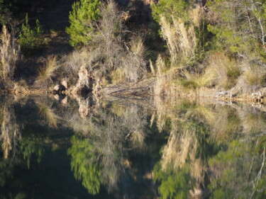 "La nature est belle" başlıklı Fotoğraf Gilx tarafından, Orijinal sanat, Fotoşopsuz fotoğraf