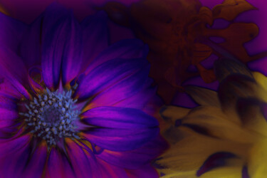 "Flowerissimo_17861" başlıklı Fotoğraf Michael Vdovin tarafından, Orijinal sanat, Dijital Fotoğrafçılık