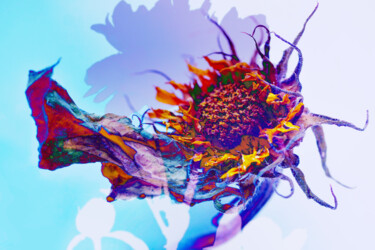 "Flowerissimo_19670" başlıklı Fotoğraf Michael Vdovin tarafından, Orijinal sanat, Dijital Fotoğrafçılık