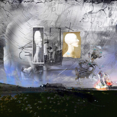摄影 标题为“Visual explanation…” 由Geertlemmers Lemmers, 原创艺术品, 数码摄影 安装在有机玻璃上