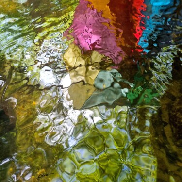 Photographie intitulée "Intrusion 2" par Sylvie Chapuis, Œuvre d'art originale, Photographie non manipulée