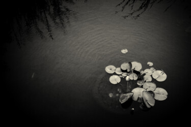 Photographie intitulée "Essentiel 8" par Jean-François Mansencal, Œuvre d'art originale, Photographie numérique