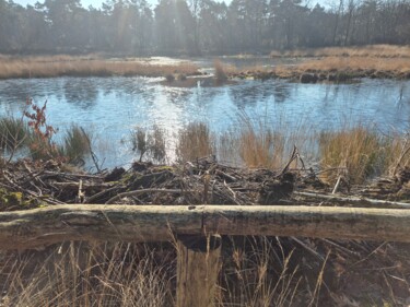 Photography titled "ijstoneel" by Florence Nieuwenhuizen, Original Artwork, Non Manipulated Photography