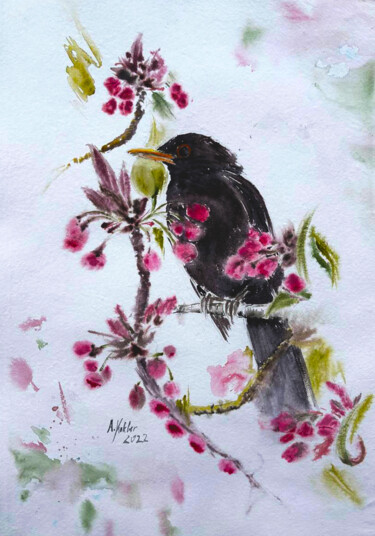 Blackbird on Cherry Blossom Branch - Watercolor Wall Art