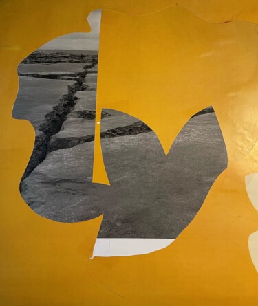 Collages getiteld "collage 28" door Charles Dusaussoy, Origineel Kunstwerk, Collages Gemonteerd op Plexiglas