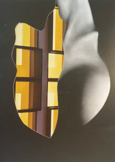 Collages intitulée "collage 36" par Charles Dusaussoy, Œuvre d'art originale, Collages Monté sur Plexiglas