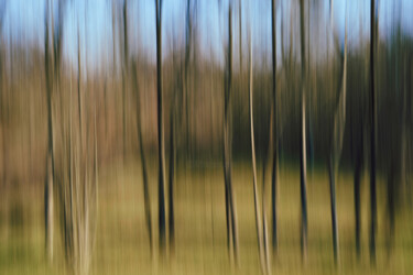 Photography titled "Into the woods 004" by Marko Rupena, Original Artwork, Digital Photography