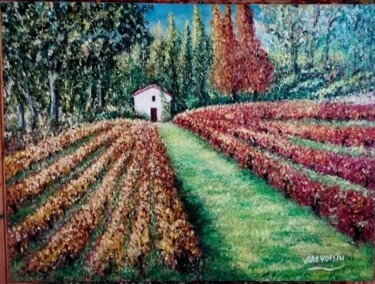 Paysage de Vignes dans l'Hérault