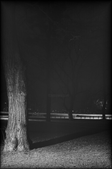 摄影 标题为“scene XLI (park)” 由Zheka Khalétsky, 原创艺术品, 数码摄影