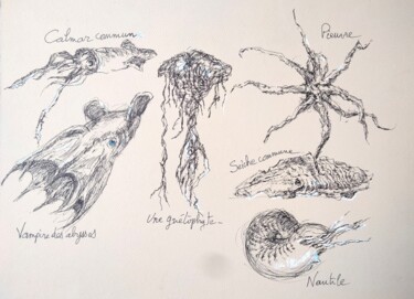 Disegno intitolato "muséum10" da Didier Jean, Opera d'arte originale, Inchiostro Montato su Cartone