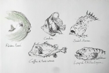 Tekening getiteld "Muséum11" door Didier Jean, Origineel Kunstwerk, Inkt Gemonteerd op Karton