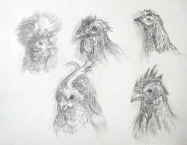 Tekening getiteld "Muséum13" door Didier Jean, Origineel Kunstwerk, Potlood Gemonteerd op Karton