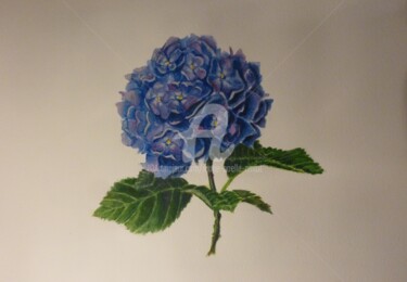 "Hortensia" başlıklı Tablo Marie-Noëlle Amiot tarafından, Orijinal sanat, Suluboya