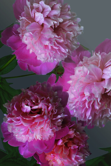 Fotografie getiteld "Flowerissimo_10121" door Michael Vdovin, Origineel Kunstwerk, Digitale fotografie