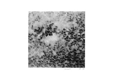 图画 标题为“dessins 15x15 #5 mi…” 由Marie-Pascale Corcuff, 原创艺术品, 铅笔