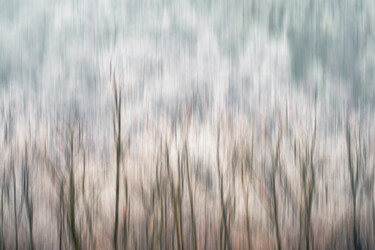 Photography titled "Into the woods 006" by Marko Rupena, Original Artwork, Digital Photography